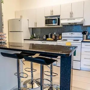 New Listing Luxurious Downtown Loft Heated Parking Rooftop Patio Bbq Gym Coffee Apartment